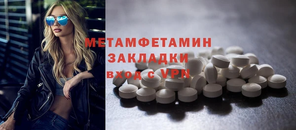 прущие грибы Нея