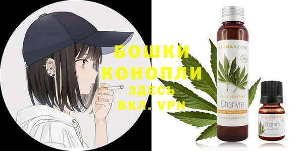 прущие грибы Нея
