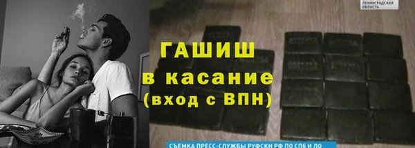 прущие грибы Нея