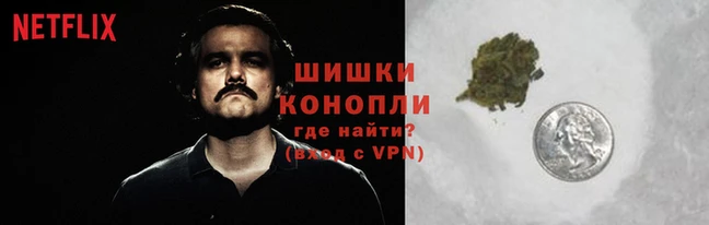 прущие грибы Нея