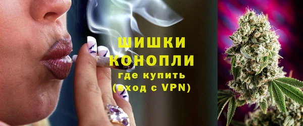 прущие грибы Нея