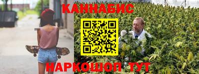 гидра Брянск
