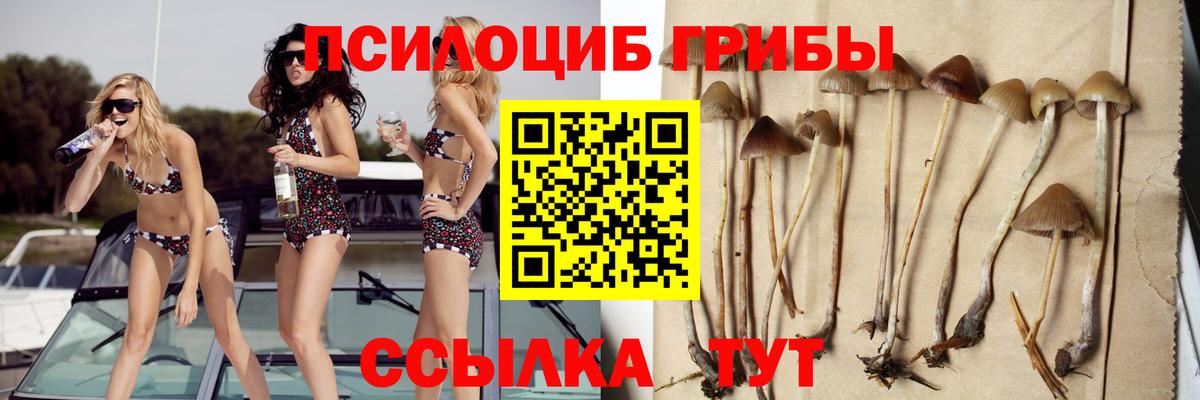 Пермь  дарнет шоп  Вход с VPN  Галлюциногенные грибы Cubensis 