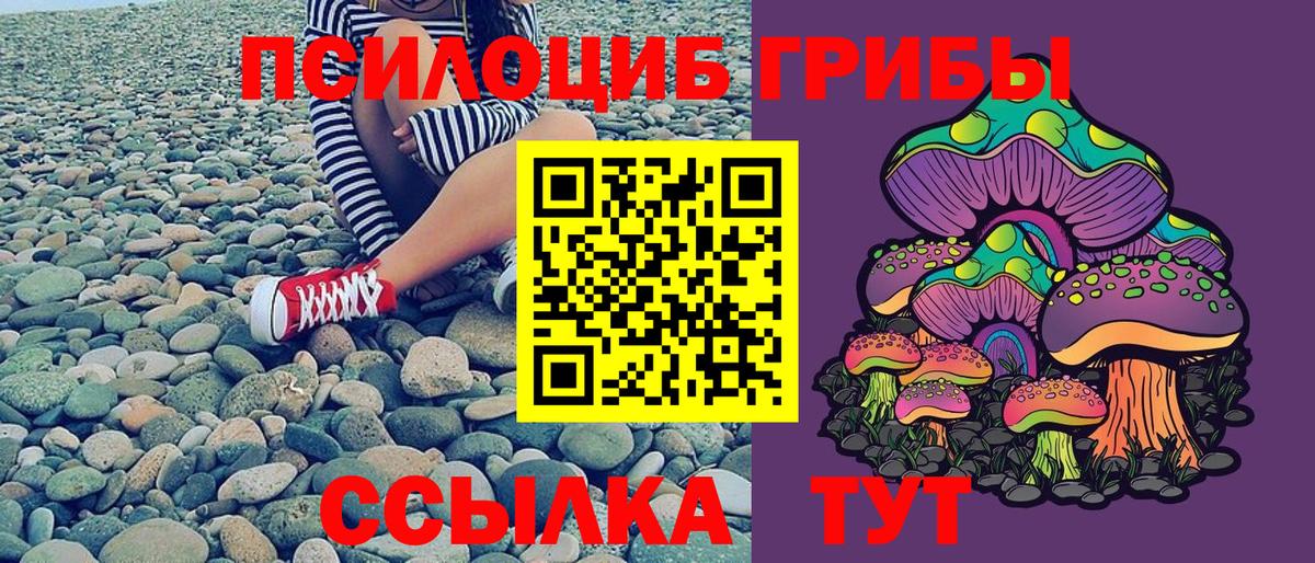 Галлюциногенные грибы Cubensis Пермь